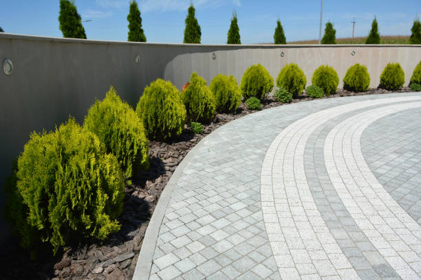 Best Driveway Paver Repair  in USA